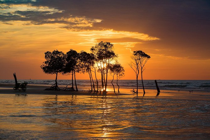 Self-Guided Audio Tour of Darwin: Your Personal Exploration Guide