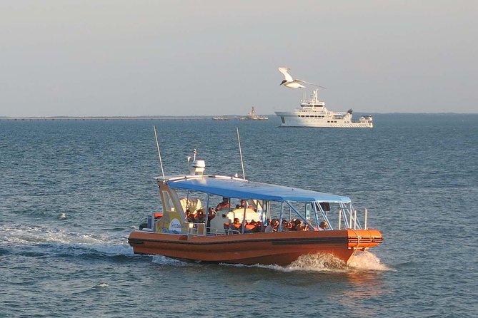 Discover Darwin Harbour in this Unmissable 1 Hour Cruise Adventure