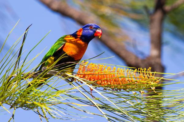 Visiting George Brown Darwin Botanic Gardens
